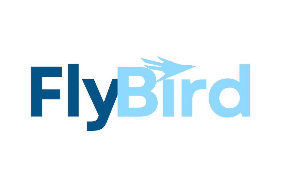 flybird